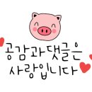 댕댕그라운드 이미지