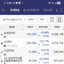 황금씨앗