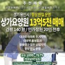 더실버공인중개사사무소 이미지