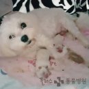 해운대플러스동물병원 이미지