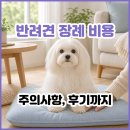 한도 축산 | 반려견 장례 비용 얼마일까요? 강아지 장례식장 비용부터 주의사항, 후기까지 한 글에.