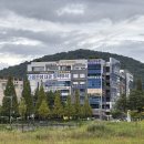 좋은샘내과의원 | 감기 몸살, 좋은샘 내과 의원, 홍콩반점