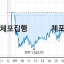 대한민국의 리스크는 윤석열임을 제대로 보여준 오늘자 환율 그래프. 이미지