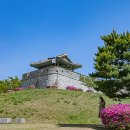 수원-0285 Daum카페