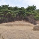 원죽마을회관 이미지