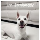 멍스데이 이미지