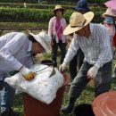 순환농장 이미지