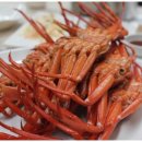 인계 블리비의원 이미지