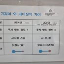 여우피어싱 이미지