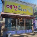 애견가을농장 네이버블로그