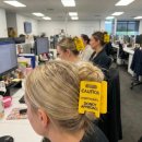 정동프라자 | 3월 19일 데일리코디 | 수원 지브리 굿즈 구경가능한 AK백화점 도토리숲 후기 | 칠보산 카페 추천