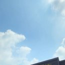 백세다방