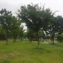 인동가산로2L-32 | 공원 산책 총총·͜· ︎︎ᕷ이디야[2]