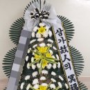 오십천로 이미지