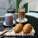 식물로부터 | 안양호계동카페 필쏘굿 카페 나만의 아지트