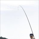 재임농장 이미지