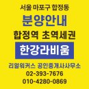 합정한강공인중개사사무소 | 합정역 신축 - 한강 라비움 분양소식 : 규제홍수 속 기회가 될 가능성