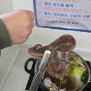 막내수산 | 인천 연안부두 종합어시장 알쭈꾸미 맛집 막내수산 내돈내산 솔직 후기 (강추) / 식순이의 선택