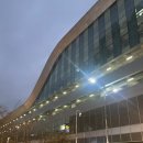 형제상회 | 노량진 내돈내산 방어 회추천 형제상회, 수산회관 후기