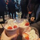 오발탄파라다이스시티