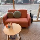 예스펫살롱 이미지