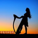 황금성 - 사천시 봉명로 73 | 황금성