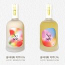 꿈의 대화 | 꿈의 대화 약주 (꿈브루어리) | 테이스팅 노트 [전통주 관찰기 #09]