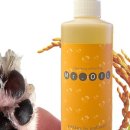 포동펫살롱 이미지