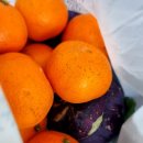 수원지방법원 성남지원 등기소 이미지