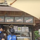 삼도사우나 | 성수기 피해서 가는 워터파크✨ 평일 캐리비안베이 후기🌊