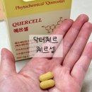 저속노화를 위한 건강법 슬로우조깅&코어 | 염증과 저속노화 영양제 닥터퀘르 퀘르셀 솔직후기