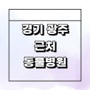 이마트24 동광주점 | 광주 근처 동물병원 잘하는곳 추천 정보 수술 치료 강아지 고양이 24시 후기 새벽 공휴일 가격 중성화