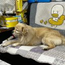 공임나라 만수점 이미지