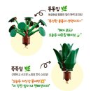 봄날에햇살 | [레고] 보태니컬 10349 봄날의햇살 가격 / 구성 / 난이도 / 후기