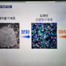 석우사 이미지