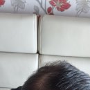 기앤미의원 이미지