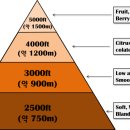 팔팔커피 - 연수구 원인재로 310 | 팔팔커피