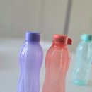 타파웨어 | 초등학생 물병 추천 타파웨어 에코 물통 500ml 내돈내산 후기