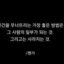 앙큼여우 이미지