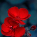 캠퍼스타운한의원 이미지