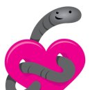 마곡나무 동물병원 이미지