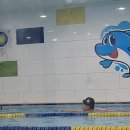 네오키즈스윔 이미지