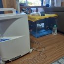 씨엔비헬스케어 이미지