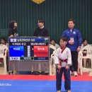 1등태권도장 이미지