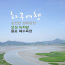 율포해수욕장 이미지