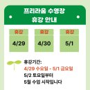 프리라움 수영장 이미지