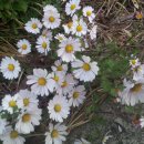 기곡농장 이미지