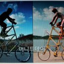 대원투어 이미지