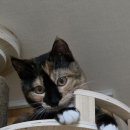 여유당 | [2025년 9월 20일]남양주 여유당 북페어 참여 후기