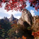 당신카매니저 이미지